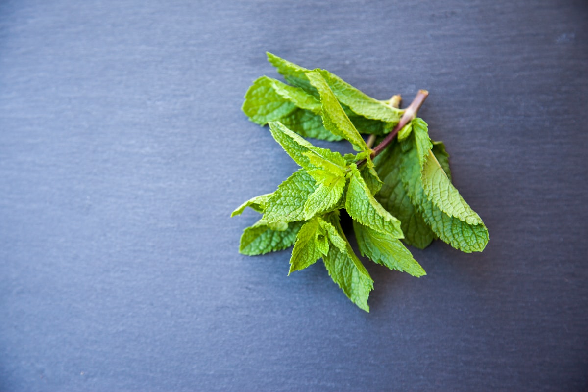 Herbal tea preparation and wellness